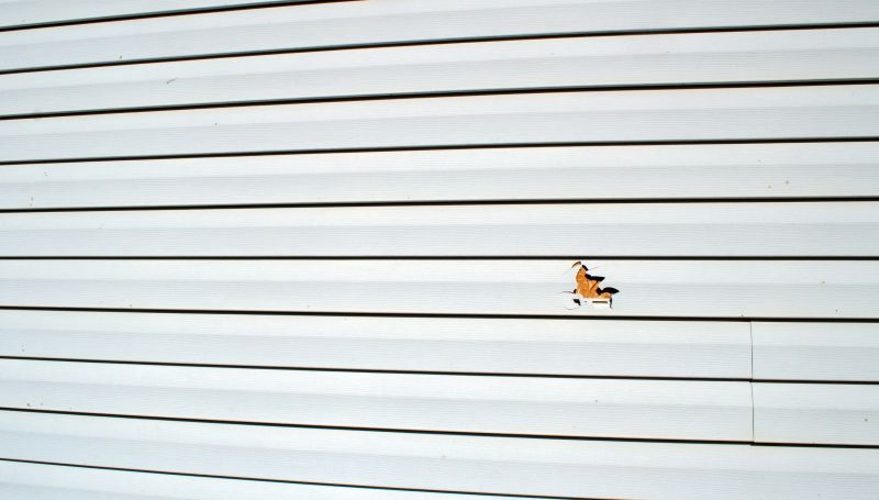 Consult Local Experts